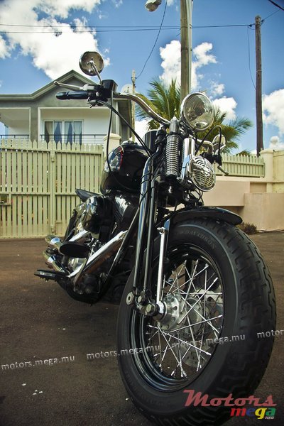 2009' Harley-Davidson Crossbones photo #2
