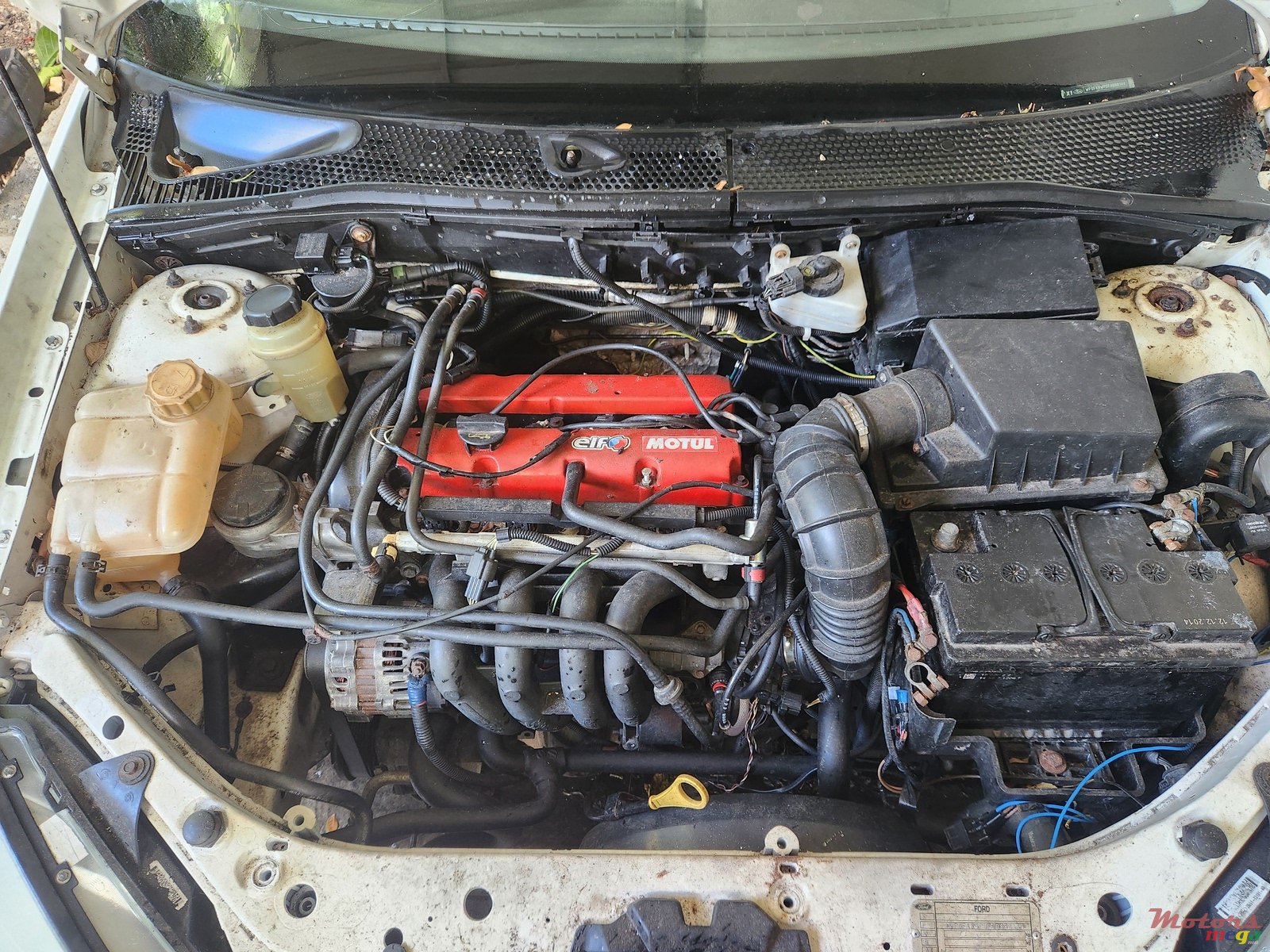 2005' Ford Focus photo #6