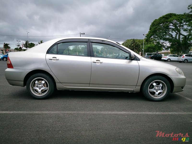 2002' Toyota Corolla NZE photo #2