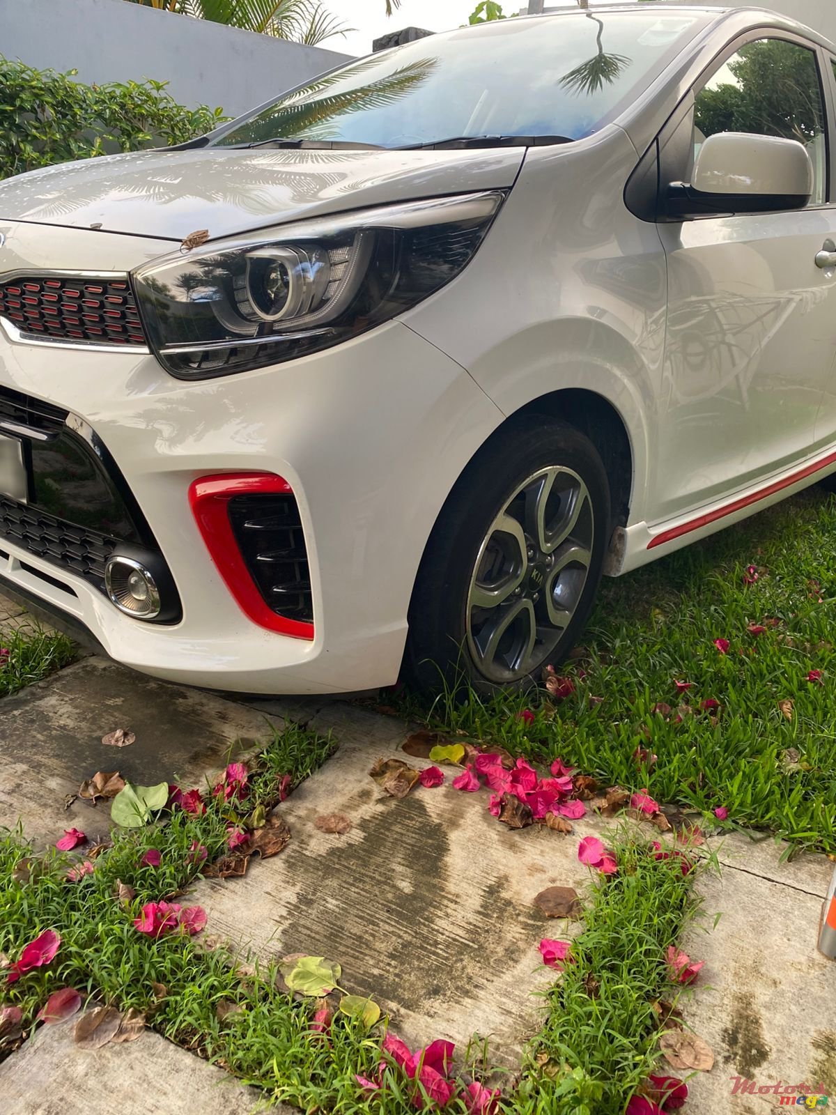 2019' Kia Picanto photo #2