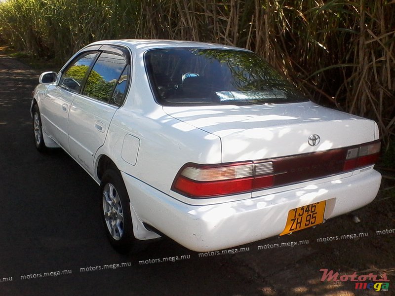 1995' Toyota Corolla ee101 photo #1
