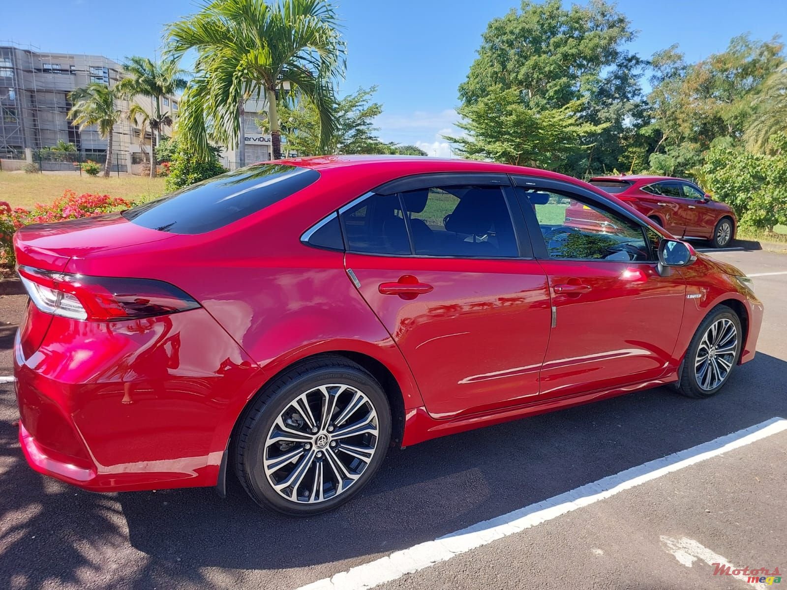 2020' Toyota Corolla photo #4