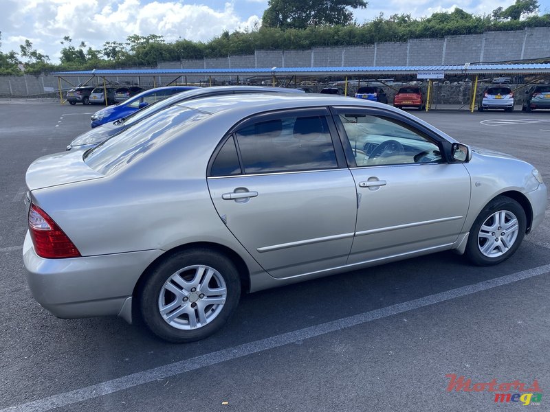 2004' Toyota Corolla NZE photo #2