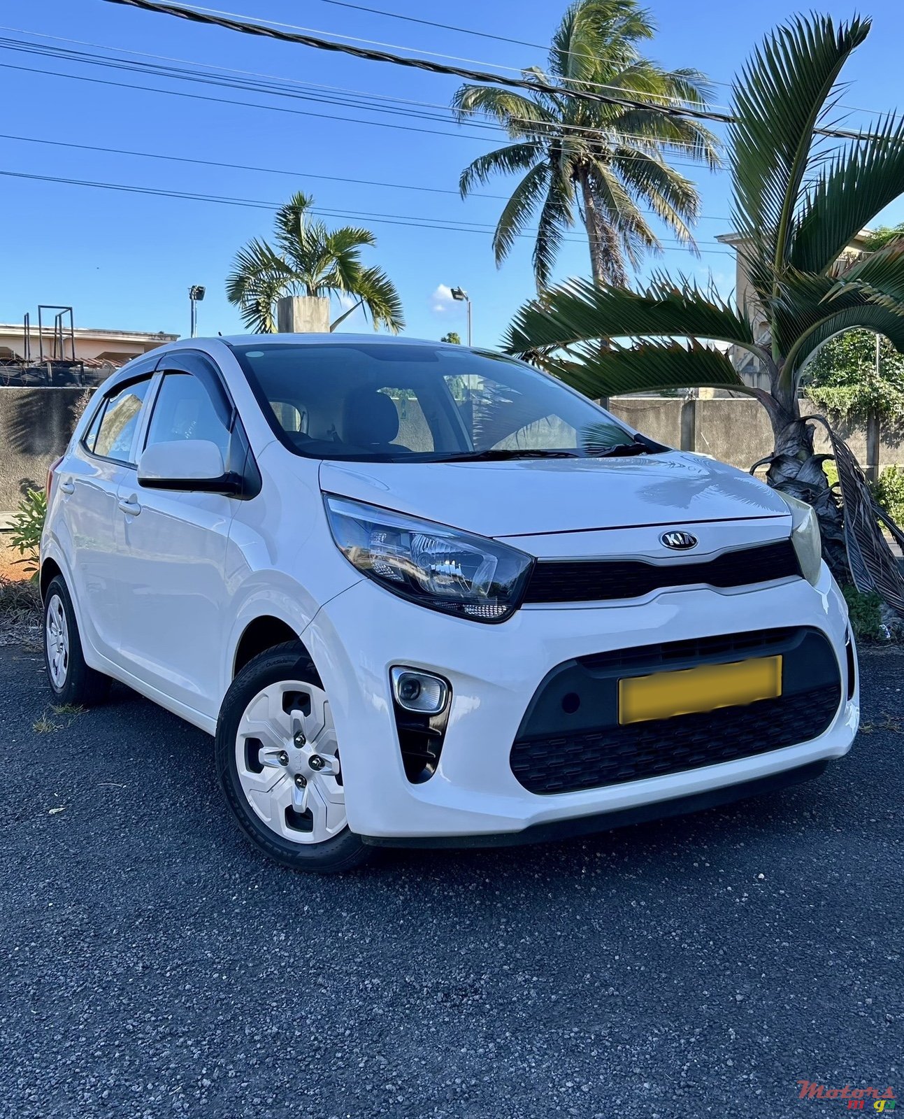 2020' Kia Picanto photo #1