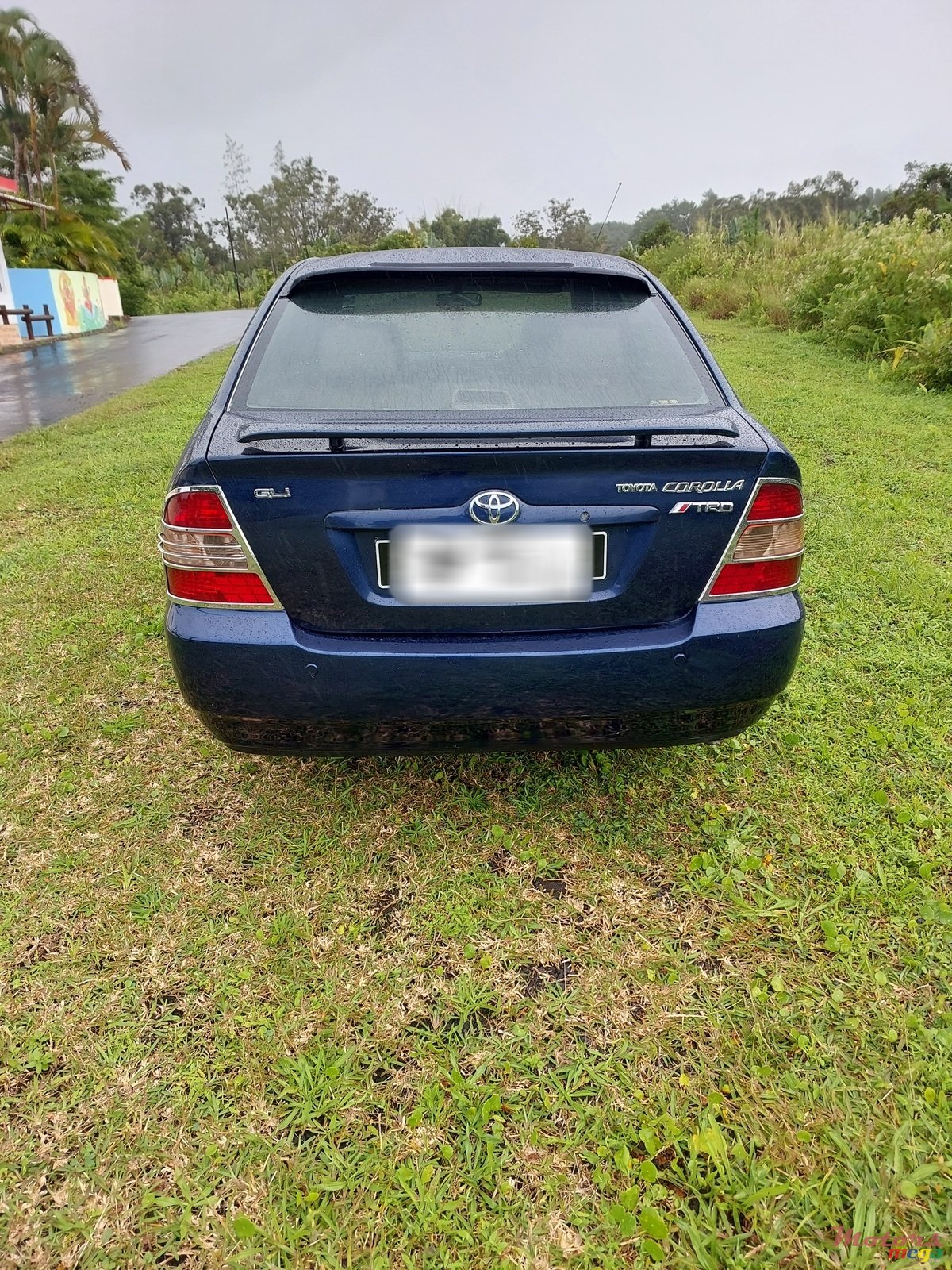 2001' Toyota Corolla photo #3