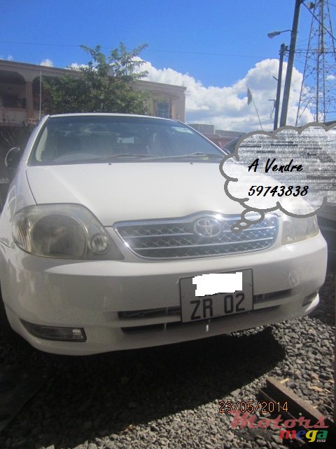 2002' Toyota Corolla NZE   photo #1