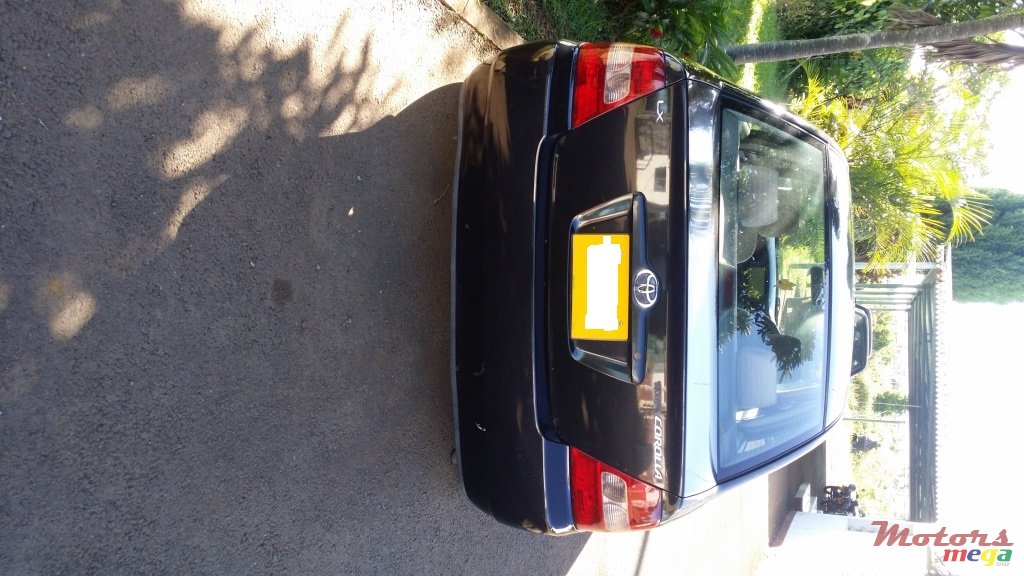 2001' Toyota Corolla photo #2