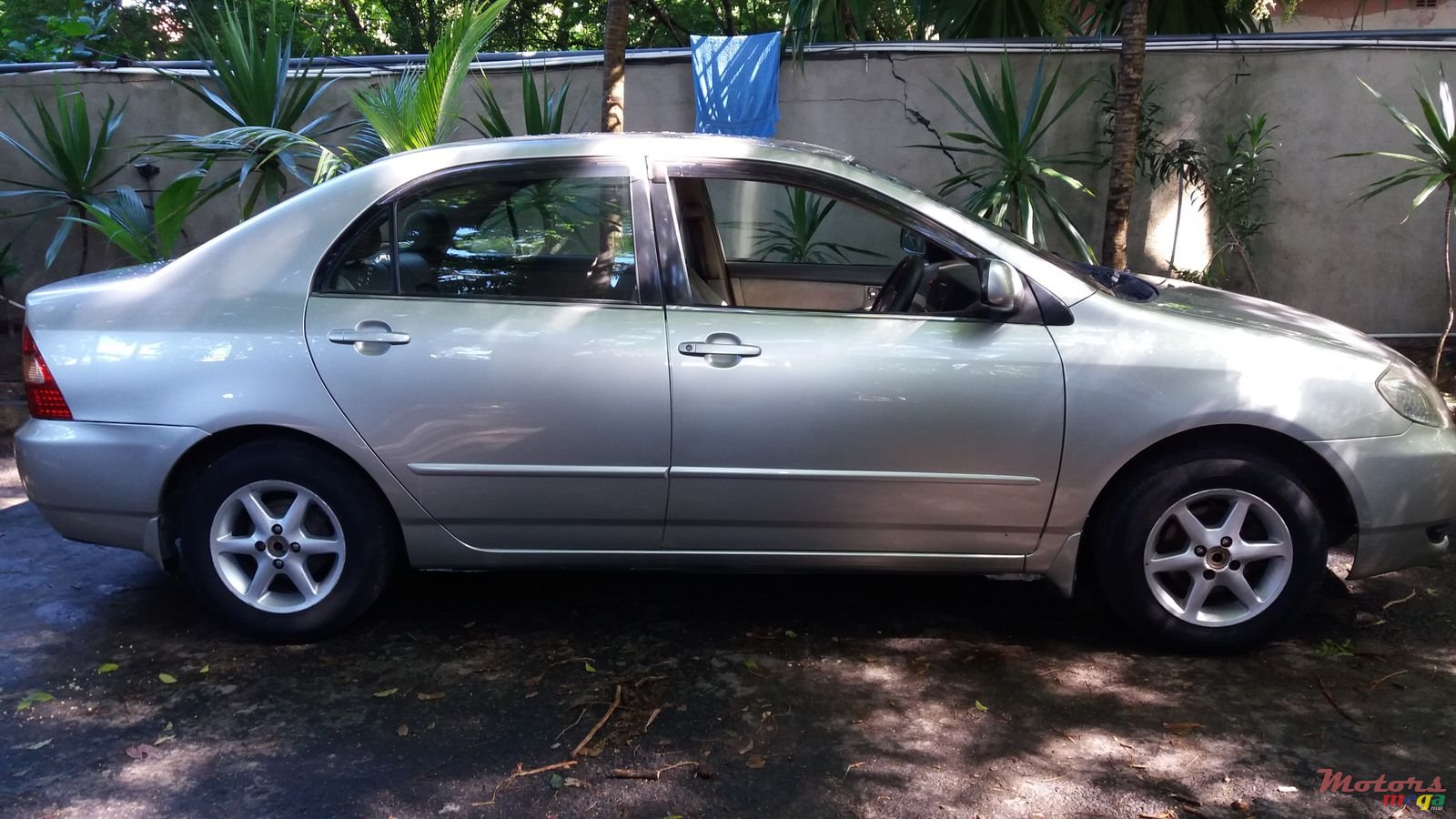 2000' Toyota Corolla photo #1