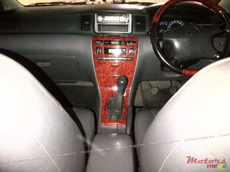2003' Toyota Corolla XLI photo #3