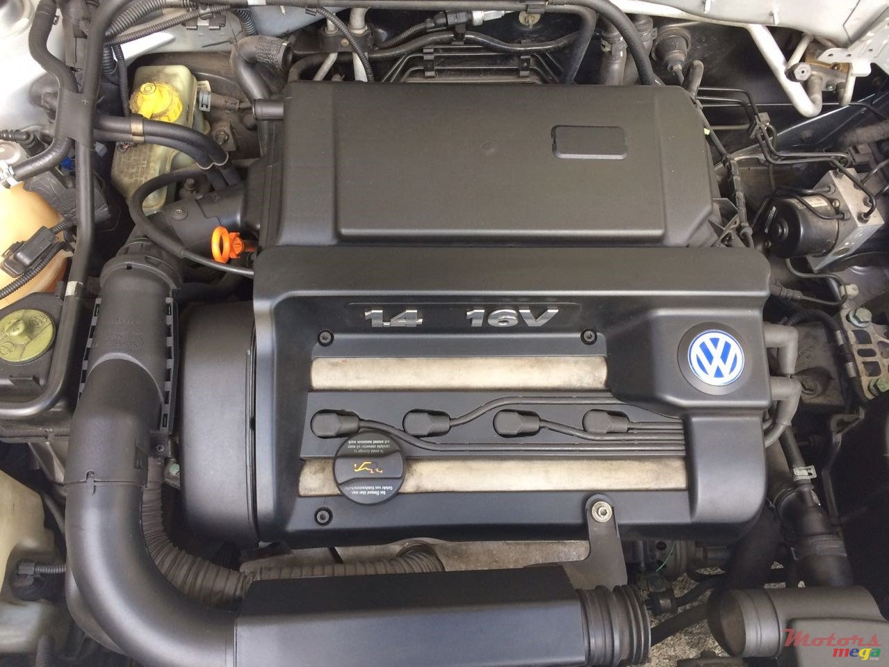 2005' Volkswagen Golf IV photo #4