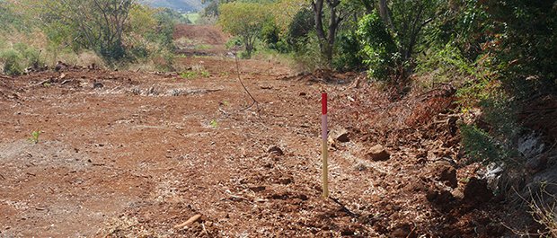 Les travaux à Richelieu devraient débuter le 10 septembre