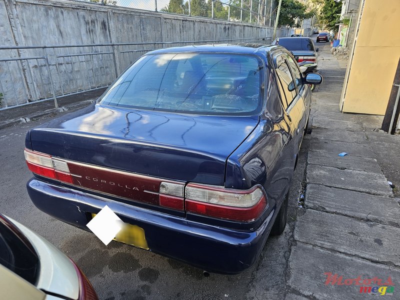 1994' Toyota Corolla Kit gaz photo #4