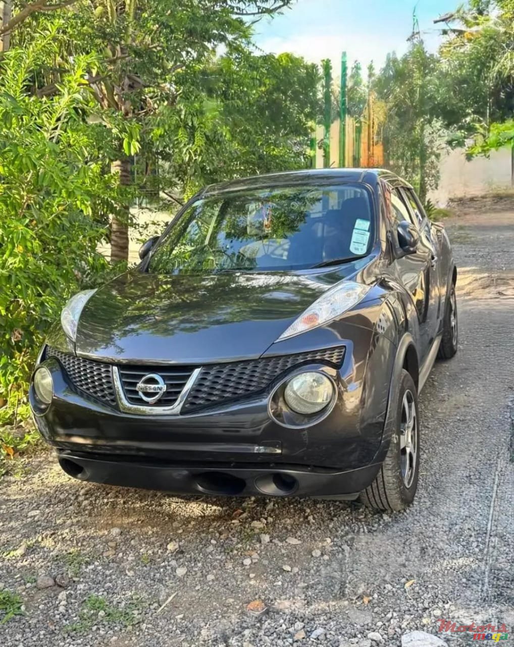 2010' Nissan Juke photo #2