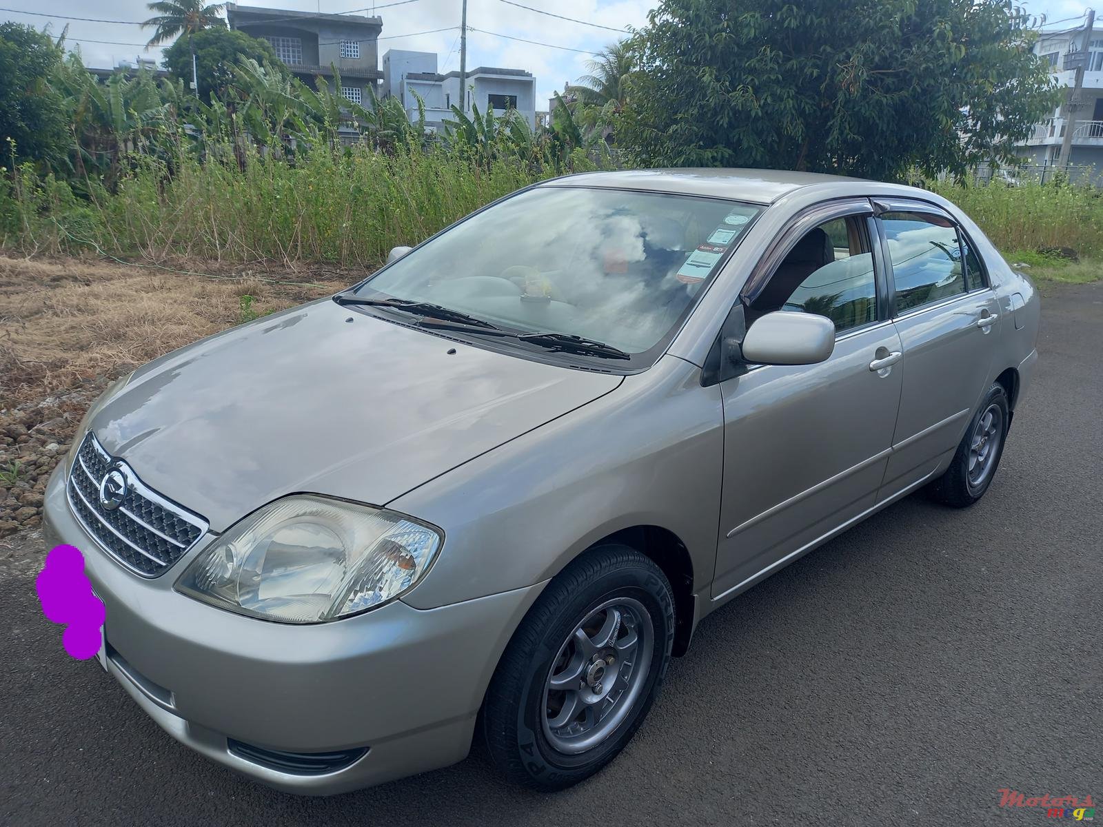 2002' Toyota Corolla photo #2
