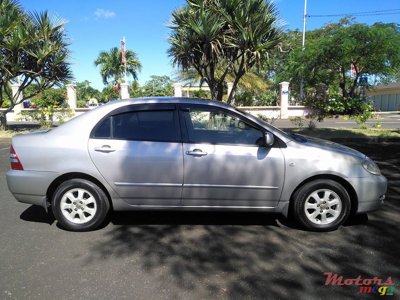 2002' Toyota Corolla NZE photo #3