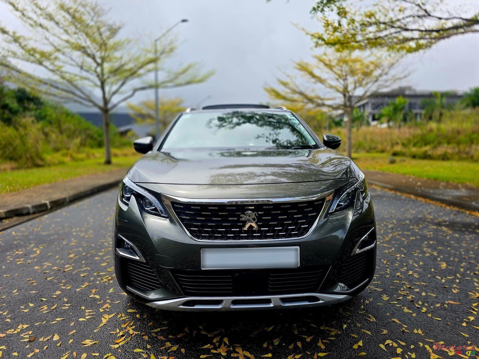 2018' Peugeot 3008 photo #1