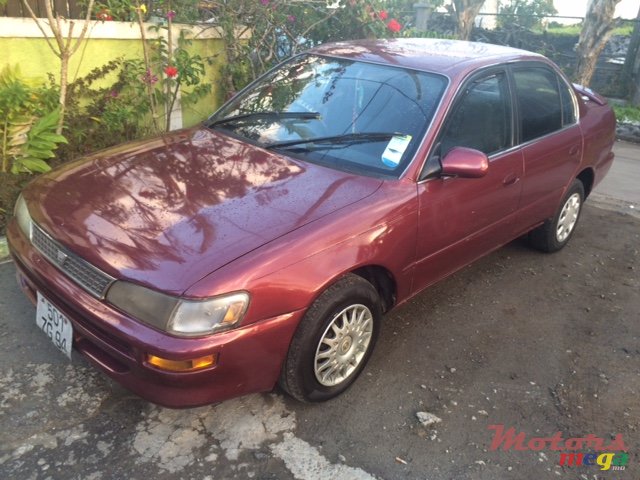 1994' Toyota Corolla photo #1