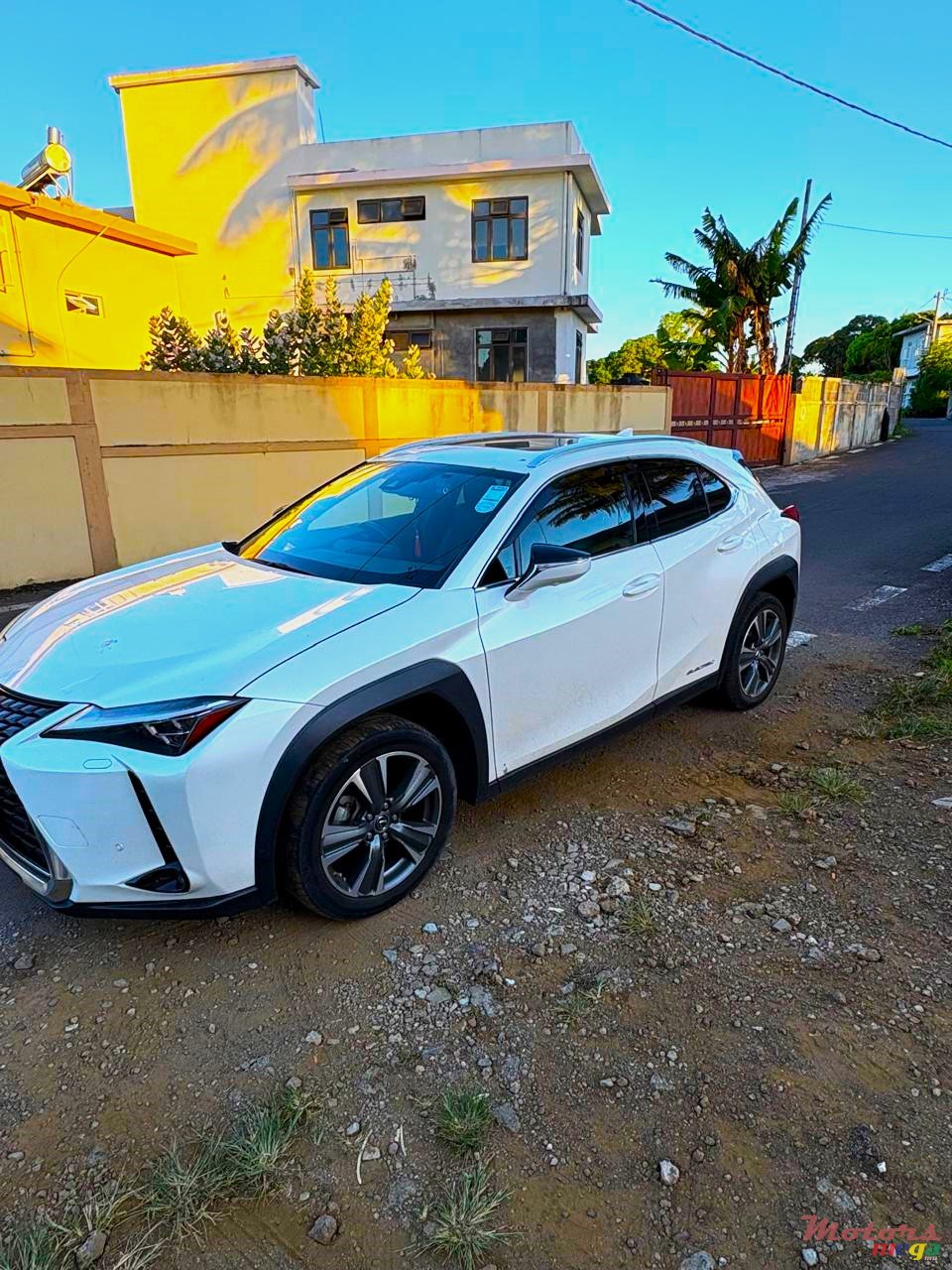 2021' Lexus UX 300e photo #2