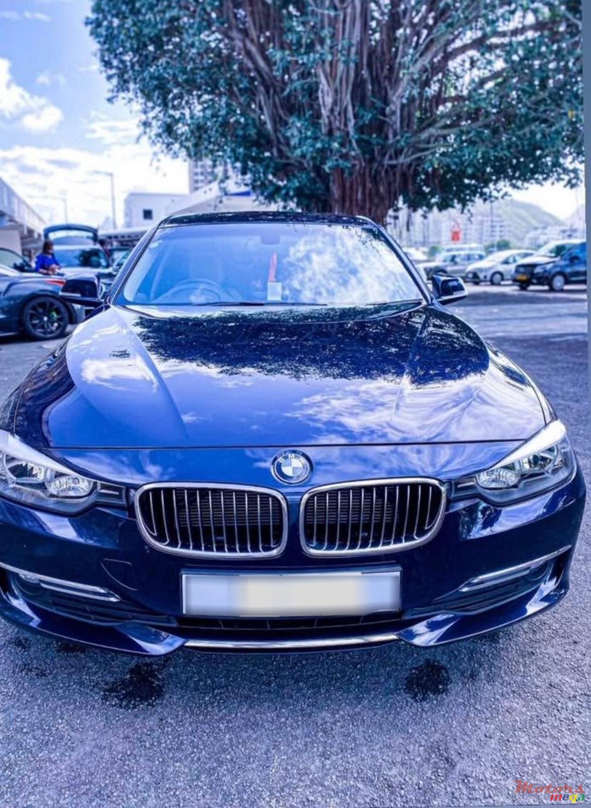 2013' BMW 316 photo #1