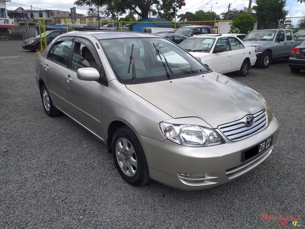 2002' Toyota Corolla NZE photo #1