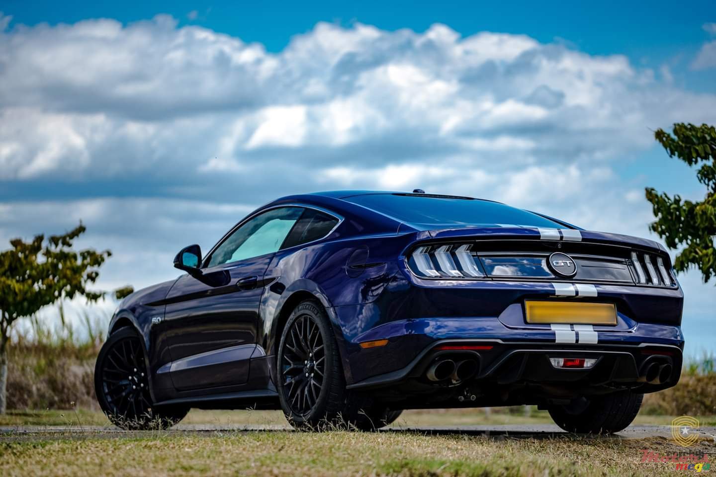 2019' Ford Mustang GT 5.0 V8 Premium Plus photo #7
