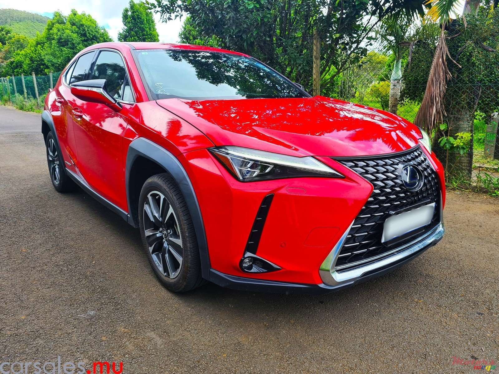 2020' Lexus UX 250h 2.0 Hybrid photo #2