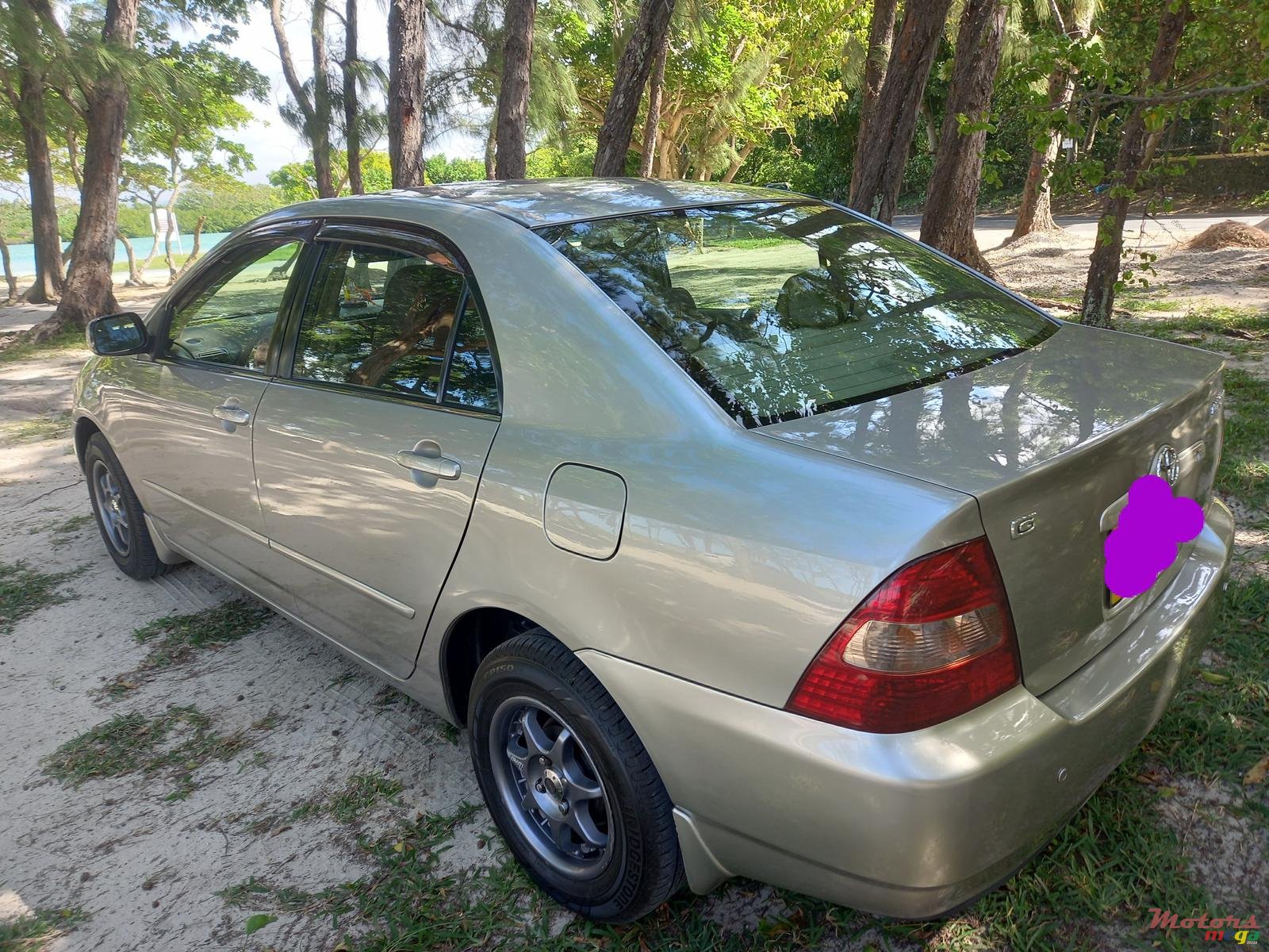 2002' Toyota Corolla photo #6