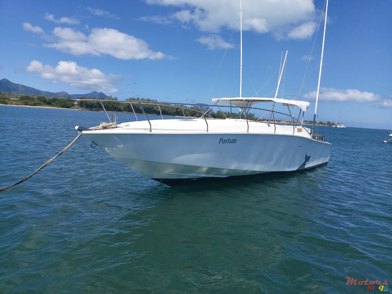 2008' Arrow photo #7