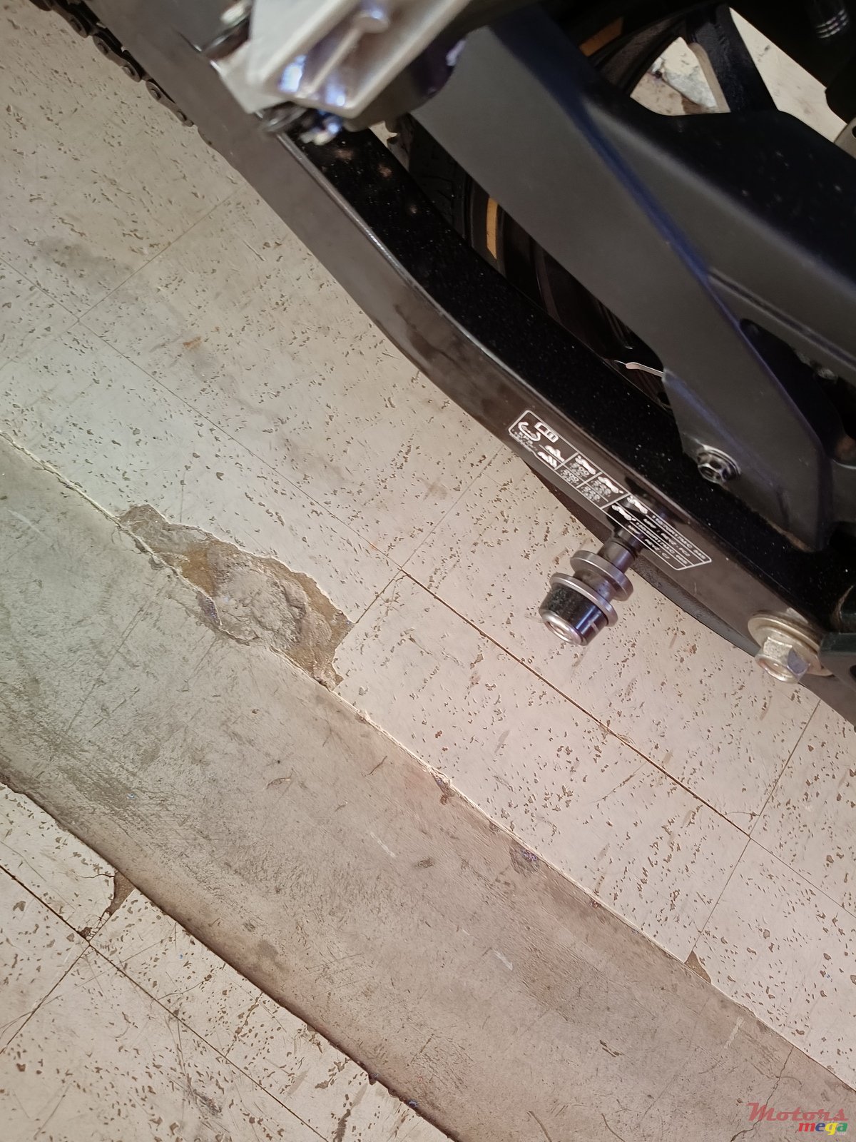 2024' Suzuki photo #4