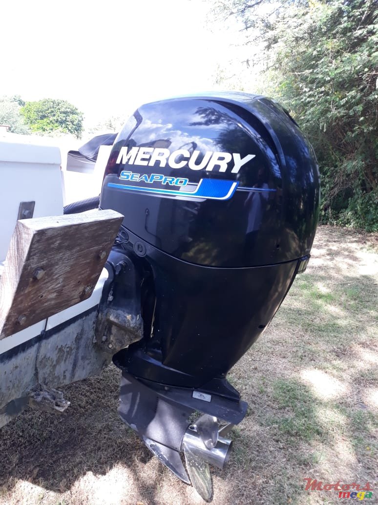 2016' Mercury SeaPro photo #2