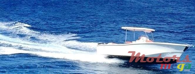 2016' Suzuki TECHMARINE 260 photo #1