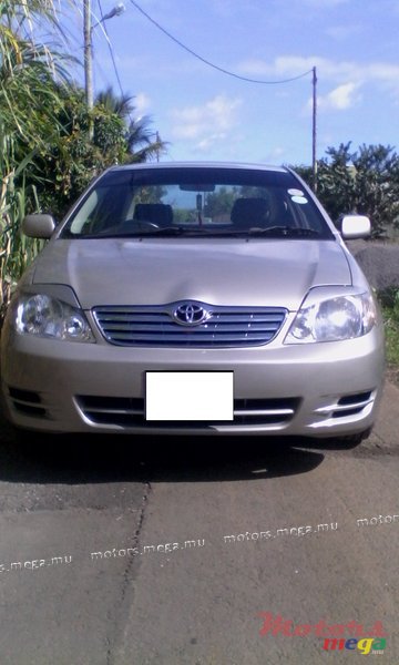2002' Toyota Corolla NZE photo #1