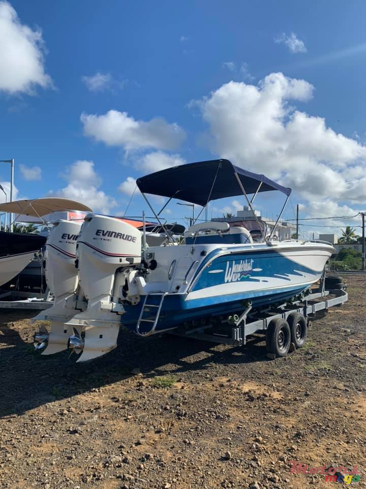 2010' Cobra photo #4