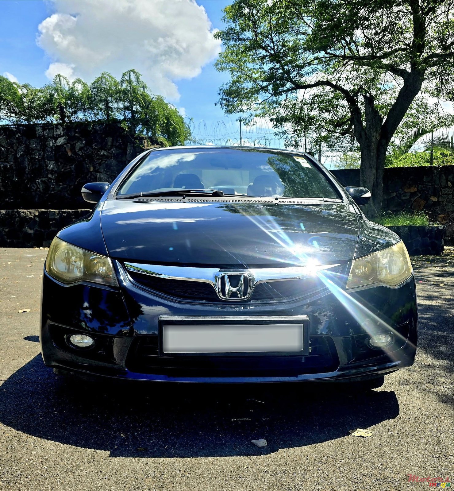 2009' Honda Civic photo #1