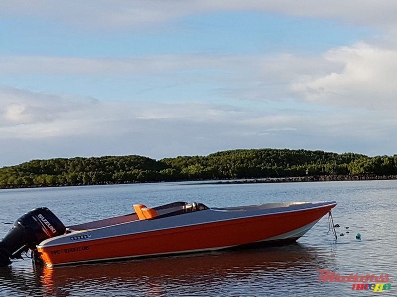 2017' Cobra photo #3