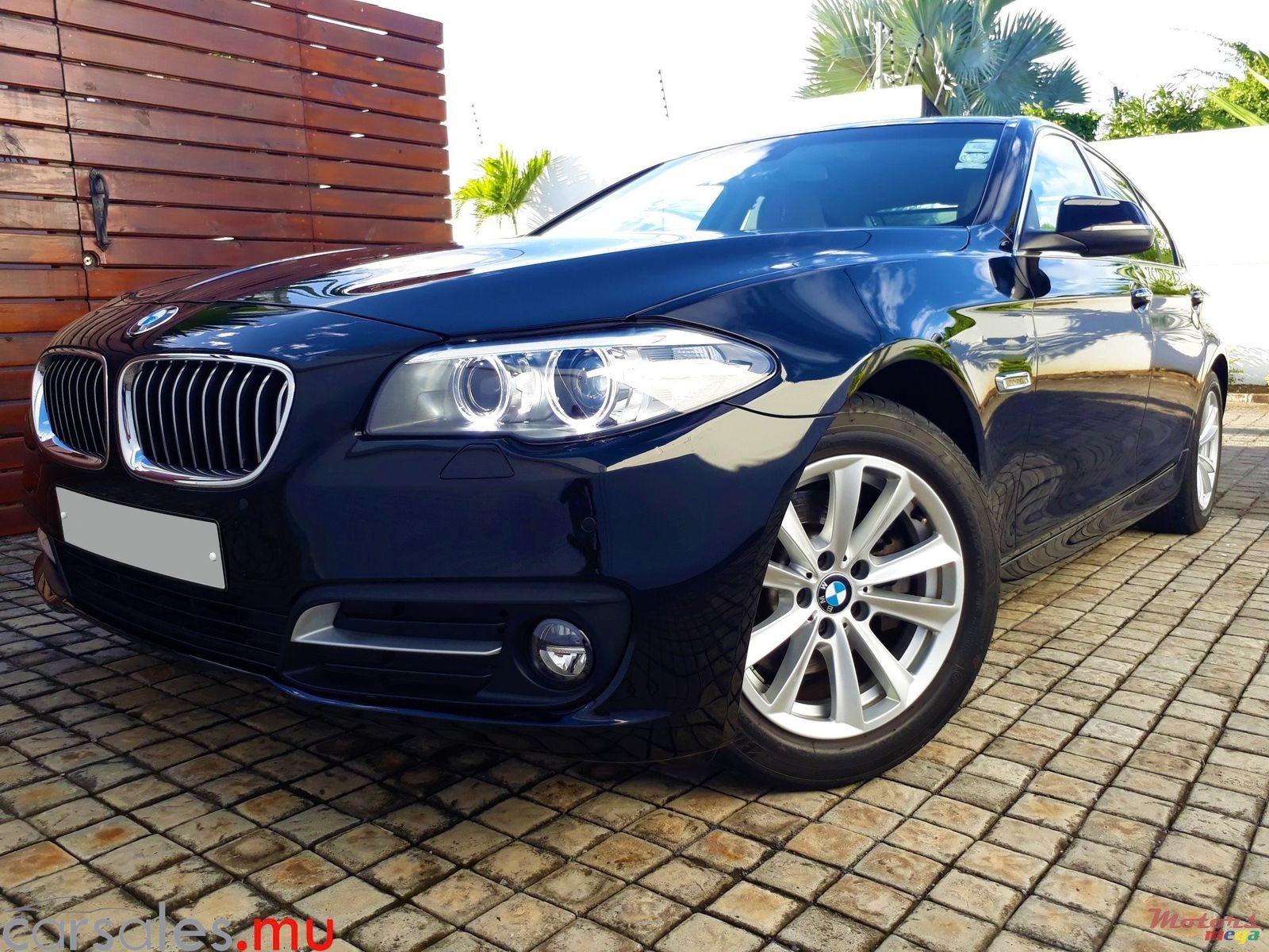 2015' BMW 520 Luxury Line photo #2