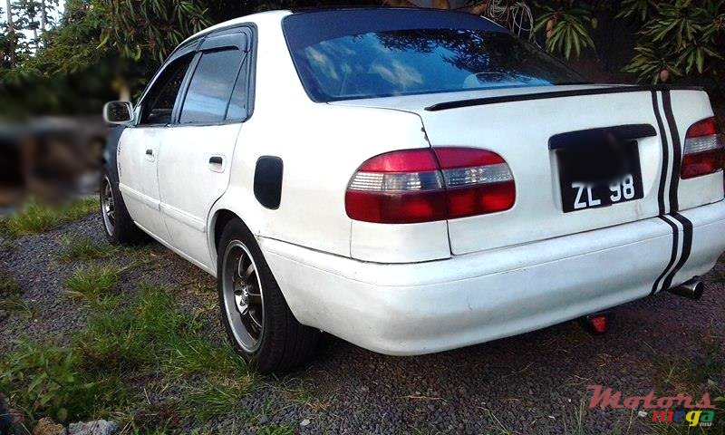 1998' Toyota Corolla photo #3