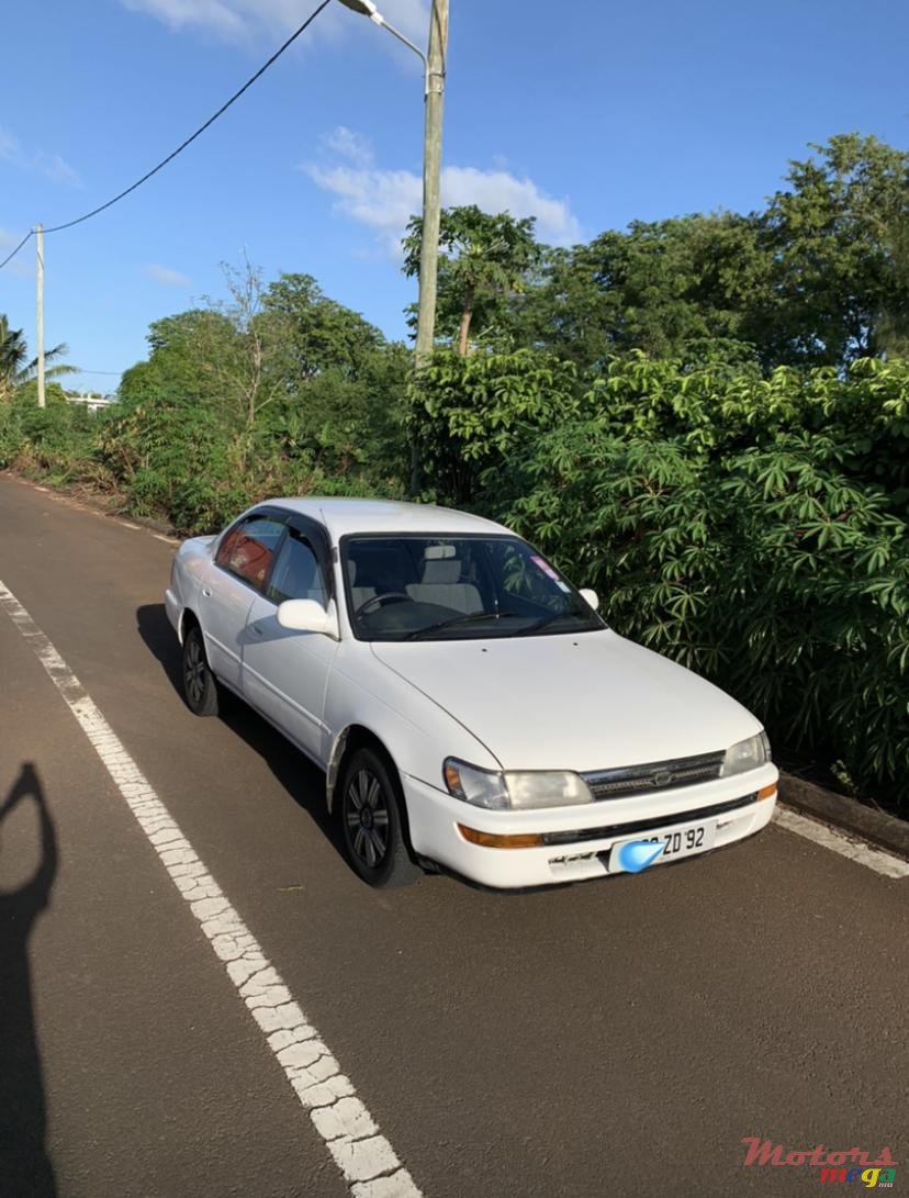 1992' Toyota Corolla photo #1