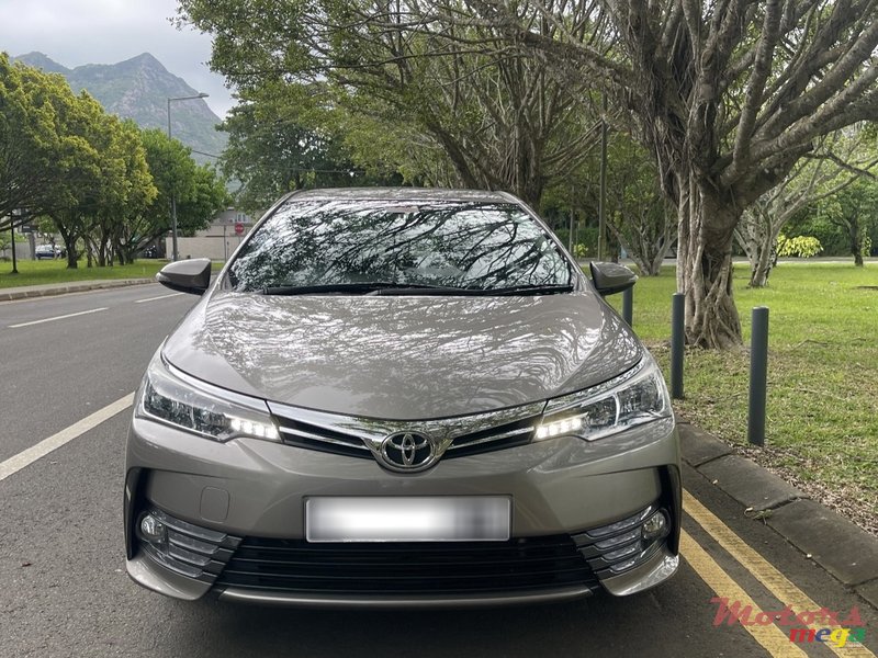 2019' Toyota Corolla photo #1