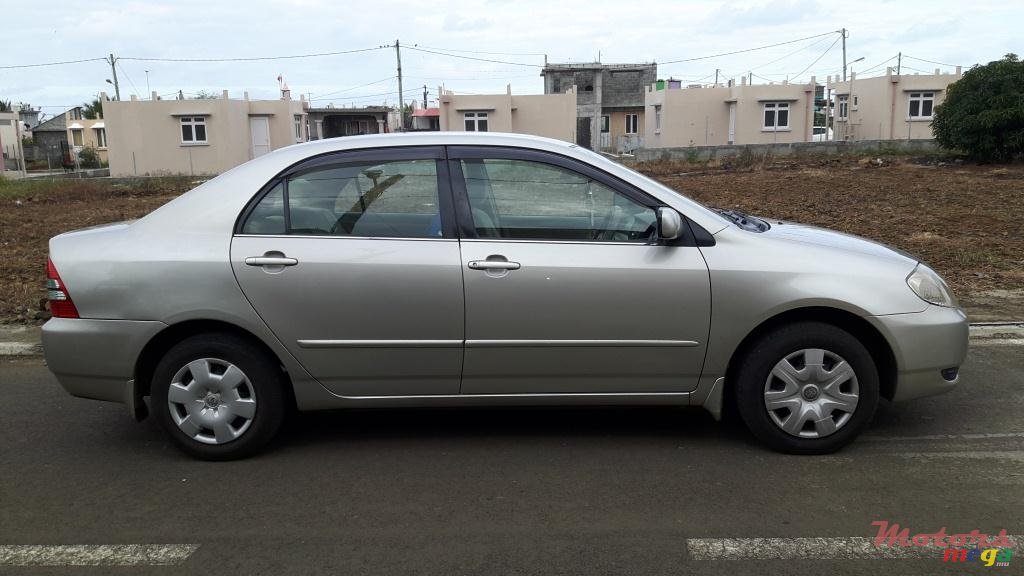 2003' Toyota Corolla NZE photo #2