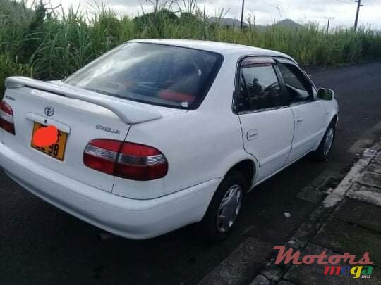 1998' Toyota Corolla photo #5