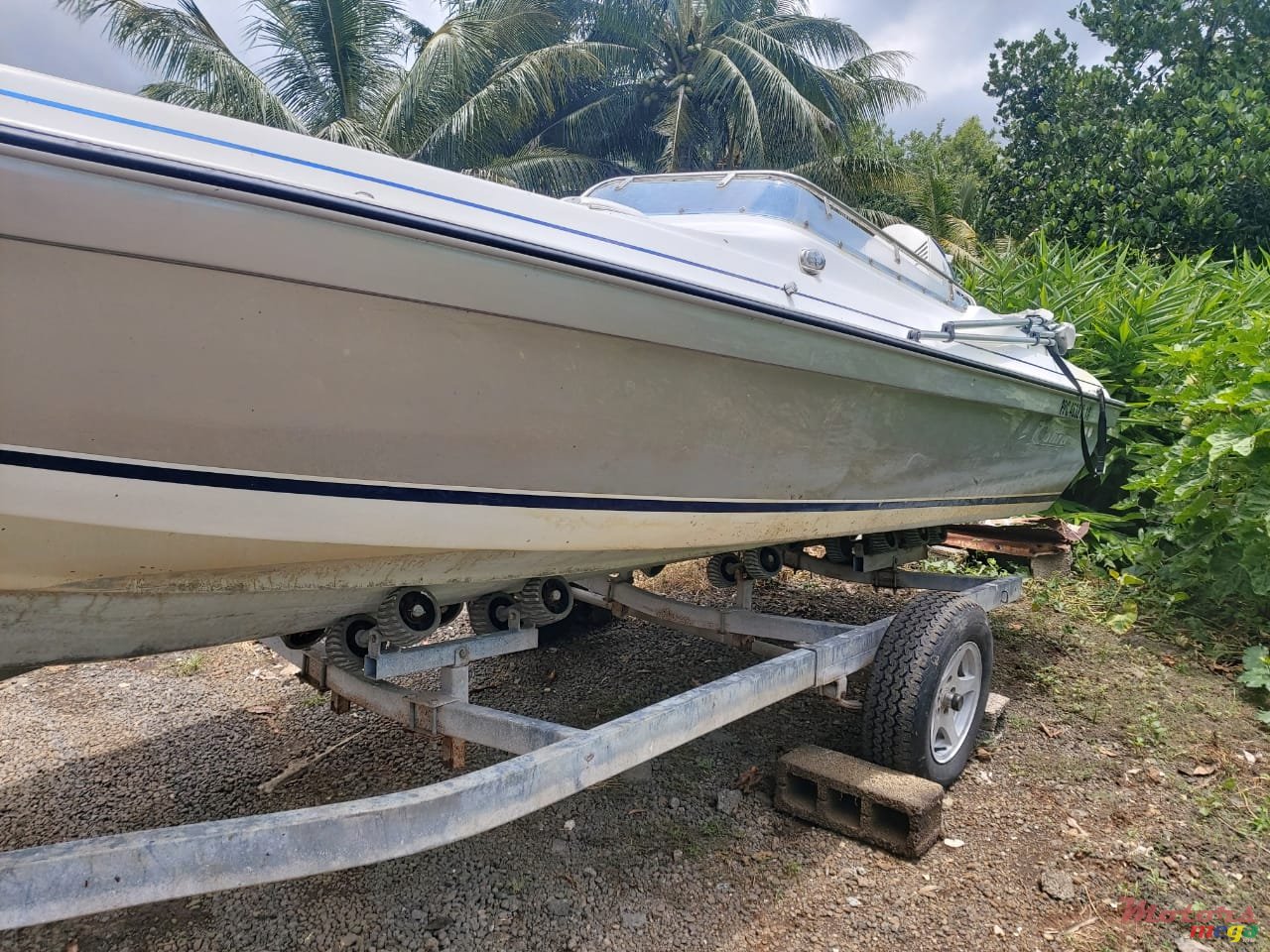 2008' Evinrude photo #6