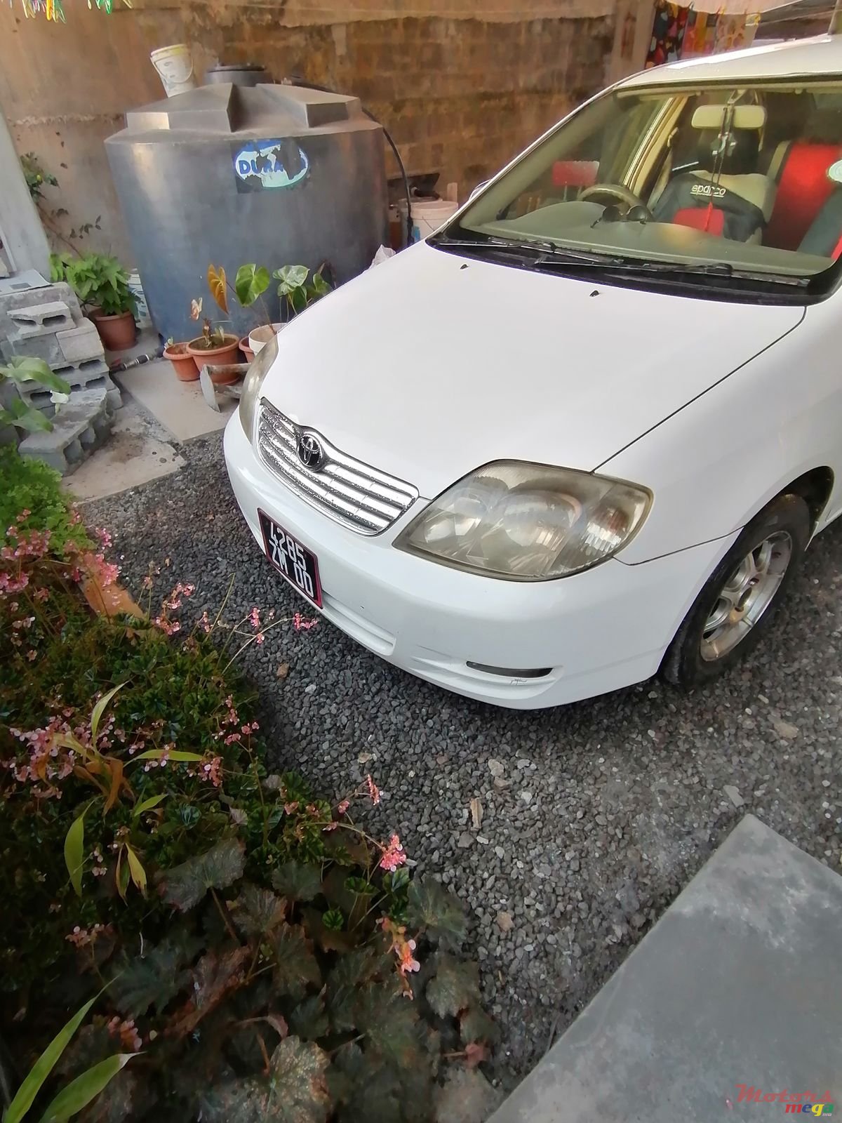 2000' Toyota Corolla photo #1