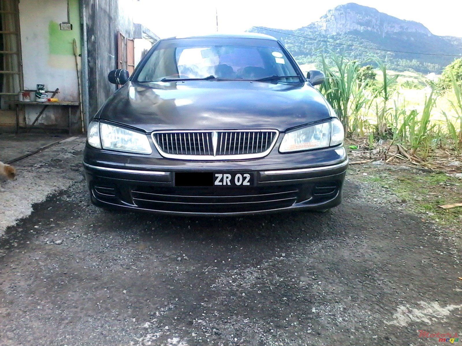 2002' Nissan Sunny photo #1