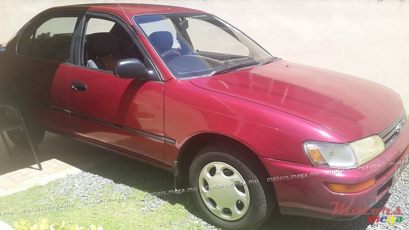 1994' Toyota Corolla photo #1