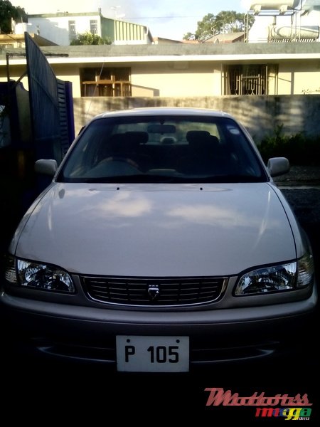 1999' Toyota Corolla photo #2