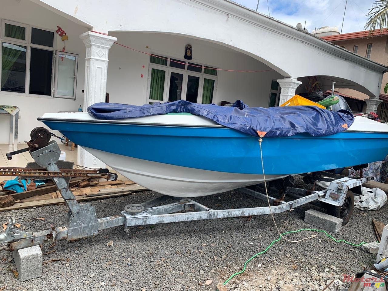 2017' Cobra photo #1