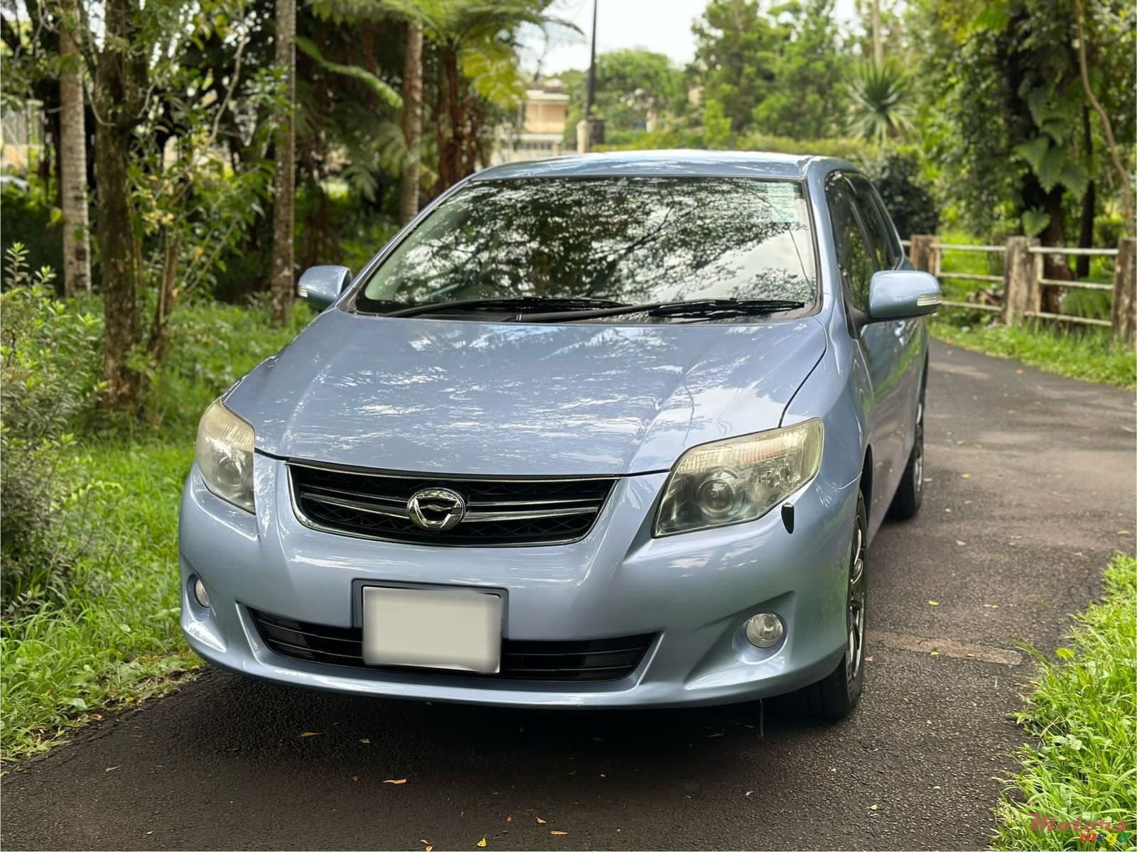 2008' Toyota Fielder photo #2
