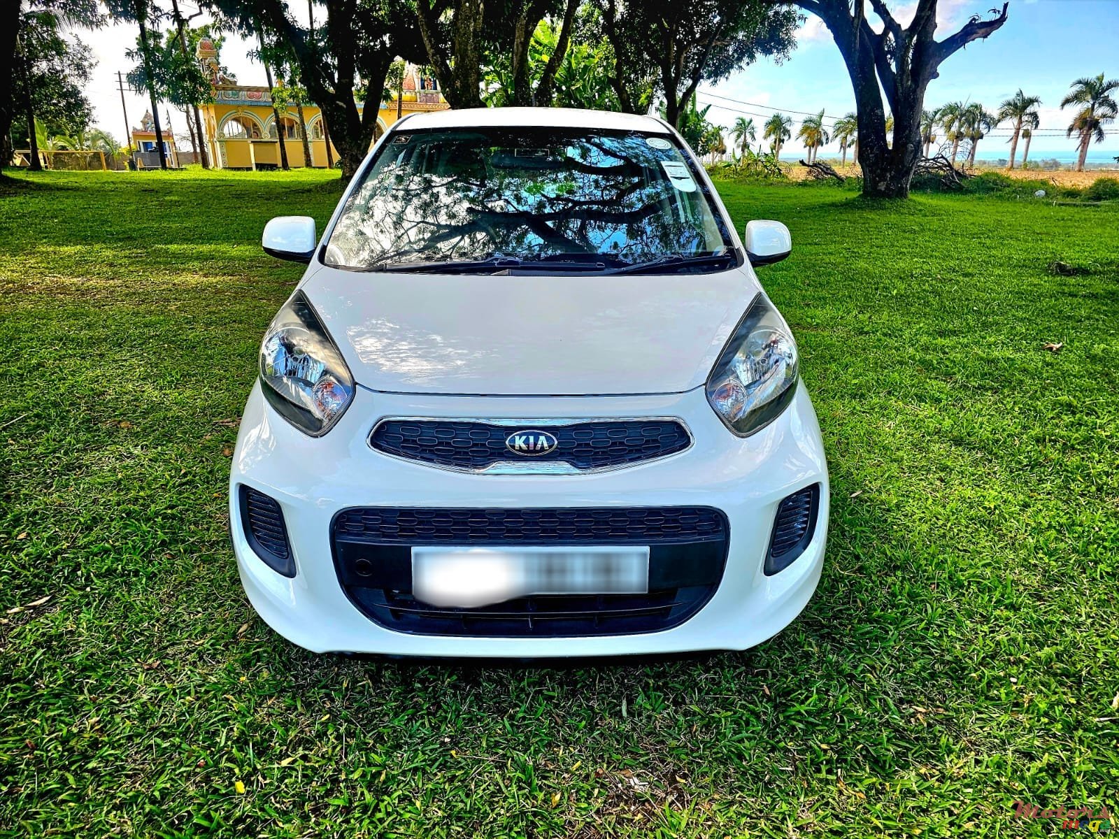 2016' Kia Picanto photo #5