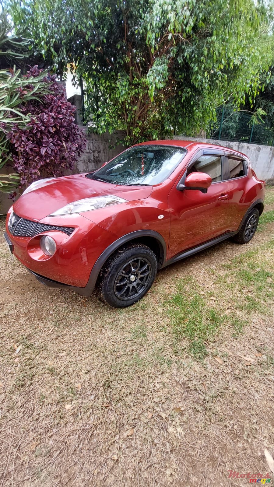 2011' Nissan Juke photo #3